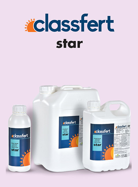 CLASSFERT STAR