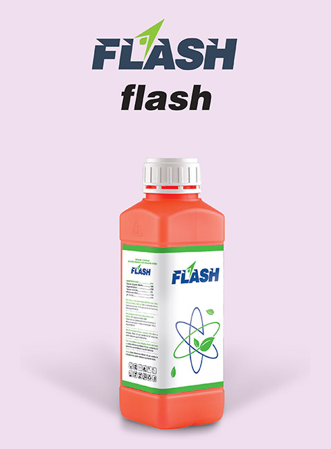 FLASH Flash
