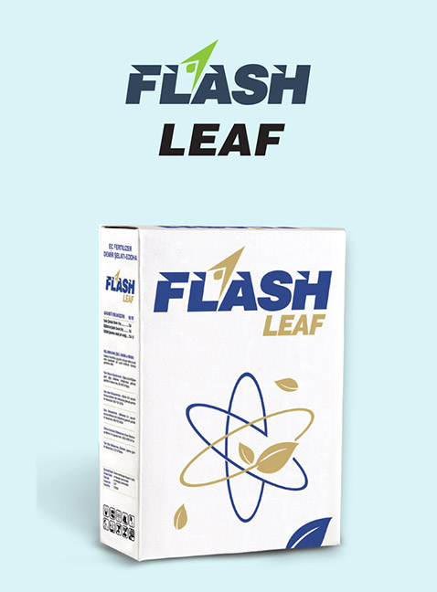 Flash Leaf
