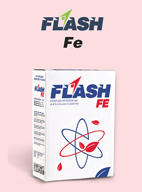FLASH Fe