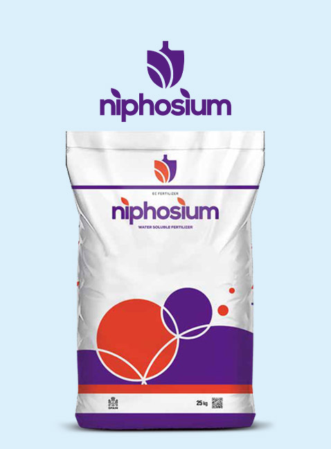 NIPHOSIUM