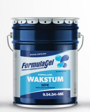 Wakstum